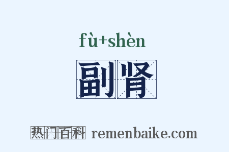 副肾是什么意思的图片